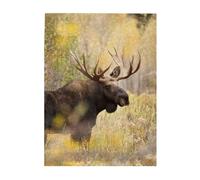 Jigsaw Puzzles 500 Pieces for Adults Families Puzzle Game for The Whole Challenging Puzzles,Wild Animal Moose Stan In Forest