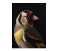 Jigsaw Puzzles 52x38cm/1000pcs for Adults Goldfinch Brid in The Dark Jigsaw Puzzle DIY Toys Pattern Assembly Gifts for Friends And Family 52x38cm/1000pcs