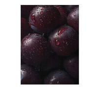 Jigsaw Puzzles 52x38cm/1000pcs for Teenagerss Plums Puzzle for Adults Relax Games Hand Speed Race Great Gift for Gaming 52x38cm/1000pcs