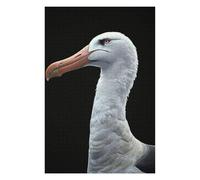 Jigsaw Puzzles 75x50cm/1000pcs for Teenagerss Albatross Jigsaws for Adults Hands-on Game Enhance Memory Great Gift for Gaming 75x50cm/1000pcs