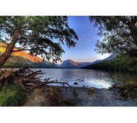 Jigsaw Puzzles,England Lake Buttermere Cumbria Nature Tree stump Coast,UK beautiful natural and human landscapes,1000 Pieces,75x50cm