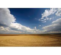 Jigsaw puzzles for adults 100 piece Bridge jigsaw puzzles for adults Challenging Game, Field, Emptiness 45,5x35,5CM