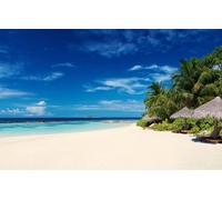 Jigsaw Puzzles for Adults 100 Pieces Landscape Jigsaw Puzzles for Adult Kids Challenging Game, Beach, Ocean 45.5x35.5CM