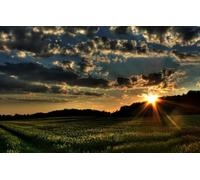 Jigsaw Puzzles for Adults 100 Pieces Landscape Jigsaw Puzzles for Adult Kids Challenging Game, Field, Trees, Forests 45,5x35,5CM
