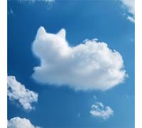 Jigsaw Puzzles for Adults 100, Sky Animal Cat Puzzle for Adults, Memory Games, Logic Puzzles, Impossible Hard Challenge, Relaxation, Puzzle 100 Pieces