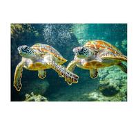 Jigsaw Puzzles for Adults 1000, Animal Jigsaws 1000 Pieces for Adults, Impossible Jigsaws Puzzle Challenging Game for The Whole, Wooden Jigsaw Puzzles for Gifts for Women Men, Decor Theme:Turtle -1600
