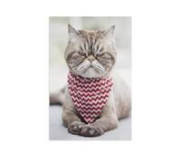 Jigsaw Puzzles for Adults 1000，Annoyed cat，Jigsaw Puzzles for Adults Paper Jigsaw Interesting Stress Reduction Jigsaw Puzzles（50x70cm）-AR100