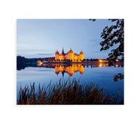 Jigsaw Puzzles for Adults 1000，Castles and Palaces，1000 Piece Jigsaw Puzzle with Letters on Back ，Challenging Puzzles for Adults as Home Decor（50x70cm）-BF58