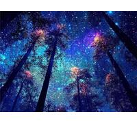 Jigsaw Puzzles for Adults 1000 Dream Starry Sky Puzzle High Definition Wooden Puzzle with Gifts Box Relaxing Home Activity Wall Decor Large Educational Puzzles Challenging Games for Adults s7h-982