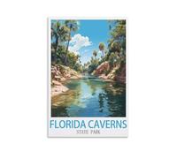 Jigsaw Puzzles for Adults 1000 Florida Caverns State Park 1000 Piece Jigsaw Puzzle For Adults - Challenging Puzzle Perfect for Game Nights 38x52cm