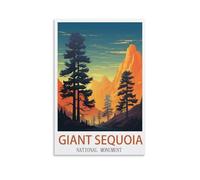Jigsaw Puzzles for Adults 1000，Giant Sequoia National Monument Jigsaw Puzzles for Adults Educational Game Challenge Toy 1000 Pieces Puzzle for Adult Kids 38x26cm