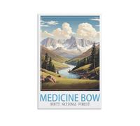 Jigsaw Puzzles for Adults 1000 Medicine Bow Routt National Forest 1000 Piece Puzzle Challenging Game for The Whole for Women,Gifts for Men 38x52CM