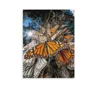 Jigsaw Puzzles for Adults 1000，Monarch Butterflies，1000 Piece Jigsaw Puzzle with Letters on Back ，Challenging Puzzles for Adults as Home Decor（75x50cm）-AO78