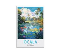 Jigsaw Puzzles for Adults 1000 Ocala Floridas 1000 Piece Jigsaw Puzzle For Adults - Challenging Puzzle Perfect for Game Nights 50x70cm