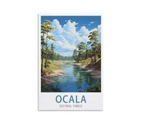 Jigsaw Puzzles for Adults 1000 Ocala National Forest 1000 Piece Puzzle Challenging Game for The Whole for Women,Gifts for Men 38x52CM