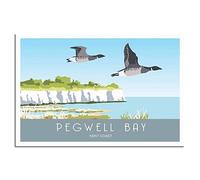 Jigsaw Puzzles for Adults 1000，Pegwell Bay Brent Goose Kent Of paper Puzzles Suitable For Adults Children Families Stress Relief Puzzle Games 38x26cm