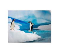 Jigsaw Puzzles for Adults 1000 Piece，2 penguins on ice，Jigsaw Puzzles for Adults Educational Game Challenge Toy 1000 Pieces Puzzles for Adults Kids（75x50cm）-N54