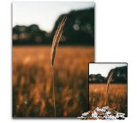 Jigsaw Puzzles for Adults 1000 Piece Barley Farm Wooden Jigsaw Puzzles for Birthdays And Holidays 1000 PCS(75x50cm)