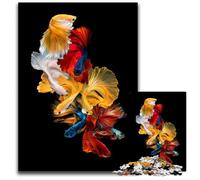 Jigsaw Puzzles for Adults 1000 Piece Betta Fish Siamese Koi IX Wooden Jigsaw Puzzles for Birthdays And Holidays 1000 PCS(75x50cm)