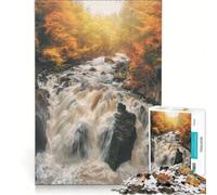 Jigsaw Puzzles for Adults 1000 Piece Black Linn Falls Hermitage, Brain Teaser Game, Stress Reliever, Wishlist with Santa Claus 38x52cm