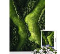 Jigsaw Puzzles for Adults 1000 Piece Carpathian Mountains Romania Valley Family Games Hand Speed Race Anti-Stress Toys Unique Birthday And Xmas Gifts (38x26cm)