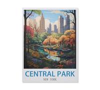 Jigsaw Puzzles for Adults 1000 Piece，Central Park New York，Difficult Puzzle Perfect Educational Gift for Boys and Girls（38x52cm）-EH51