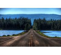 Jigsaw Puzzles for Adults 1000 Piece Challenging Puzzle for Family Birthday Party Educational GamesNatural Scenery,Roads,Lakes,Forests,Intersections 38x52CM