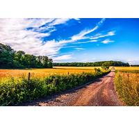 Jigsaw Puzzles for Adults 1000 Piece Challenging Puzzle for Family Birthday Party Educational GamesNatural Scenery,Roads,Fields,Farms 26x38CM
