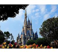 Jigsaw Puzzles For Adults 1000 Piece,Disneyland Fairytale Castle,Wooden Puzzles Toy Game Explore Creativity And Problem Solving