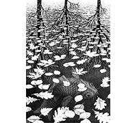 Jigsaw Puzzles For Adults 1000 Piece Escher Three Worlds Giclee Adults Puzzle 1000 Piece，Challenging Puzzle Game 38x52CM