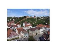 Jigsaw Puzzles for Adults 1000 Piece,Esslingen from Above,Difficult Puzzle Perfect Educational Gift for Boys And Girls(38x26cm)-AA94