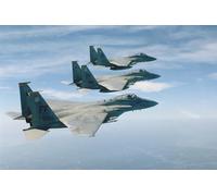 Jigsaw Puzzles For Adults 1000 Piece F15 Eagles in Flight Photo Photograph Fighter Jet Airplane Aircraft Plane Family Funny Challenging Holiday Puzzles Gift