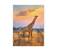 Jigsaw Puzzles for Adults 1000 Piece，Giraffe，Jigsaw Puzzles for Adults Educational Game Challenge Toy 1000 Pieces Puzzles for Adults Kids（75x50cm）-J9