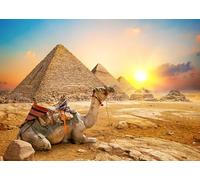 Jigsaw Puzzles for Adults 1000 Piece Giza Pyramids 27.56 x 19.69 Inch Jigsaw Puzzles for Adults Educational Game Challenge Toy 1000 Pieces Pyramid Puzzles for Adults