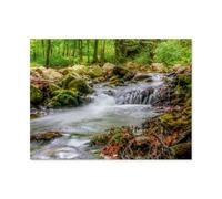 Jigsaw Puzzles for Adults 1000 Piece，Harz, in the Ilsetal，Educational Games Brain Challenge Jigsaw Puzzles for Adult Kids（50x70cm）-AR51