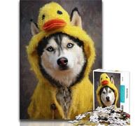 Jigsaw Puzzles for Adults 1000 Piece Husky Puzzles for Teenagers,Family Entertainment Toys with Matching Poster And Trivia Sheet (size 38x26cm)
