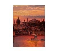 Jigsaw Puzzles for Adults 1000 Piece，Istanbul Turkey, Maiden’s Tower, Galata Tower, Blue Mosque, Ortaköy Mosque，Educational Games Brain Challenge Jigsaw Puzzles for Adult Kids（38x26cm）-C28
