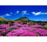 Jigsaw Puzzles For Adults 1000 Piece JEJU ISLAND SOUTH KOREA SKYLINE GLOSSY Wooden Puzzles BANNER beach A263 Challenging Puzzles for Friends Family Wall Decor