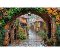 Jigsaw Puzzles for Adults 1000 Piece Jigsaw Puzzles for Adults Street View Creative Puzzle for Family Educational Games Home Decoration Gifts for Women DIY Puzzle Home Decor Theme: Small Town RXPT2967