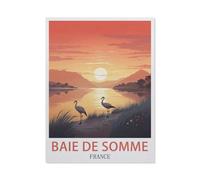Jigsaw Puzzles for Adults 1000 Piece Jigsaws Puzzles for Adults，Baie De Somme France，Jigsaw Puzzle 1000 Pieces for Adult Challenging Puzzle Games（38x26cm）-T21