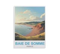 Jigsaw Puzzles for Adults 1000 Piece Jigsaws Puzzles for Adults，Bay of Somme, France，Jigsaw Puzzle 1000 Pieces for Adult Challenging Puzzle Games（50x70cm）-GQ97