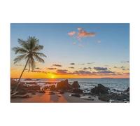 Jigsaw Puzzles for Adults 1000 Piece Jigsaws Puzzles for Adults，Beach paradise on the Pacific Ocean at sunset, Costa Rica，Jigsaw Puzzle 1000 Pieces for Adult Challenging Puzzle Games（75x50cm）-T69