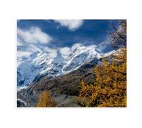 Jigsaw Puzzles for Adults 1000 Piece Jigsaws Puzzles for Adults，Larches, Snow and Ice on Piz Bernina (Switzerland)，Jigsaw Puzzle 1000 Pieces for Adult Challenging Puzzle Games（75x50cm）-BB69