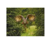 Jigsaw Puzzles for Adults 1000 Piece Jigsaws Puzzles for Adults，Study of a flying great horned owl，Jigsaw Puzzle 1000 Pieces for Adult Challenging Puzzle Games（38x26cm）-J49
