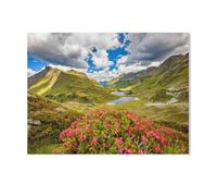 Jigsaw Puzzles for Adults 1000 Piece,Juicy Alpine Euphoria Against the Backdrop of the Two Lakes,Difficult Puzzle Perfect Educational Gift for Boys And Girls(75x50cm)-AA34