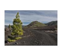 Jigsaw Puzzles for Adults 1000 Piece，La Palma - Cumbre Nueva，Difficult Puzzle Perfect Educational Gift for Boys And Girls（50x70cm）-AL65