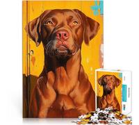 Jigsaw Puzzles for Adults 1000 Piece Labrador Retriever Portrait Hand speed competition Great Gift for Games 26x38cm