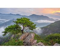 Jigsaw Puzzles for Adults, 1000 Piece, Landscape, Mountains, Tree, Rocks, Forests, South Korea 38x26CM