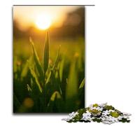 Jigsaw Puzzles for Adults 1000 Piece Morning Dew Sparkles on The Grass Jigsaw Puzzles Games Toys Gift Suitable for Desktop Decoration 1000 PCS(75x50cm)