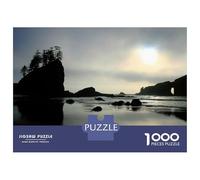 Jigsaw Puzzles for Adults 1000 Piece Olympic Park Solitude Jigsaw for Adults Fun Games Wall Art Unique Birthday And Xmas Gifts 38x26cm/1000pcs